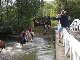 IMG_7123-047